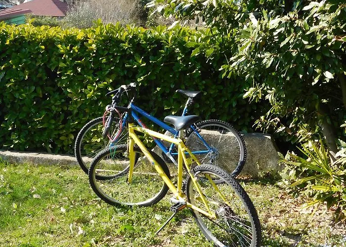 Ca D'oro * Дуна-Верде